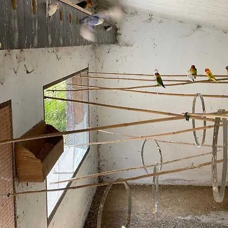Parel - Perle De Bievene Farm stay Bever